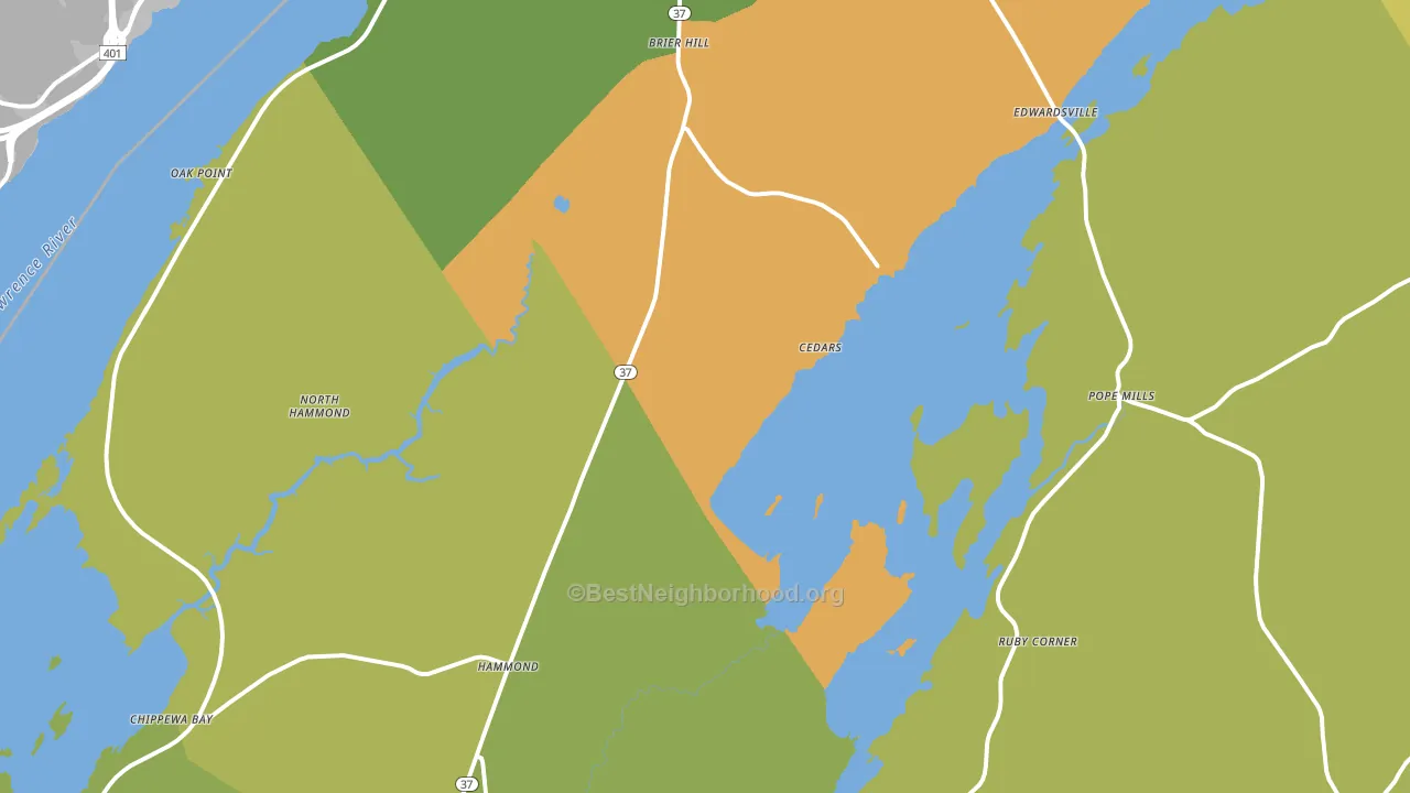 Hammond, NY block-group voter-turnout map