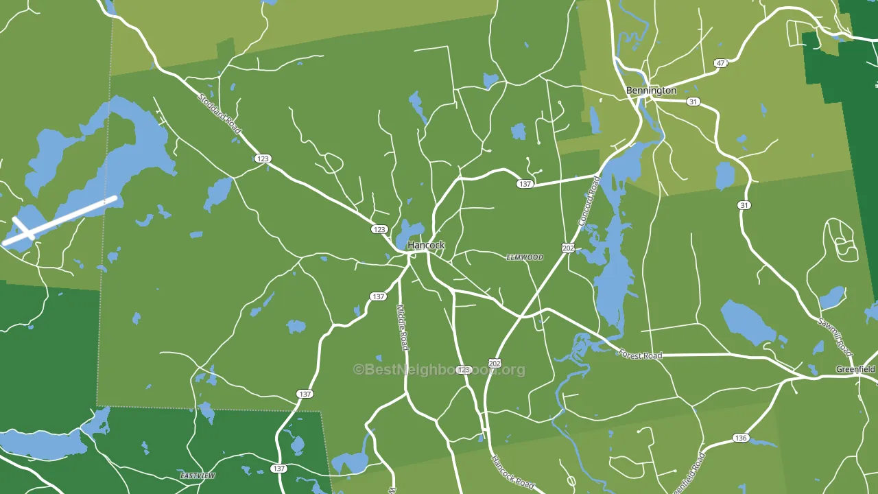 Hancock, NH block-group voter-turnout map