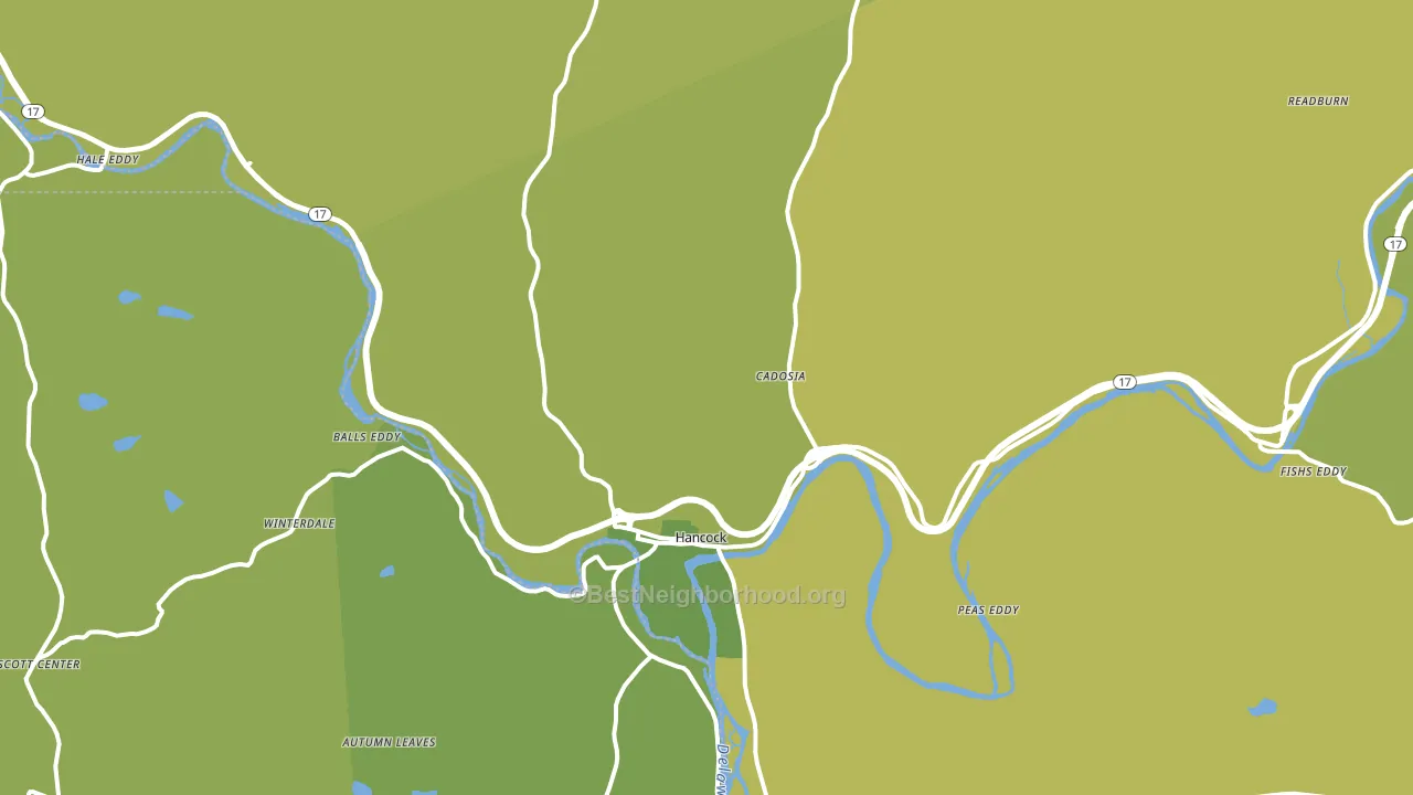 Hancock, NY block-group voter-turnout map