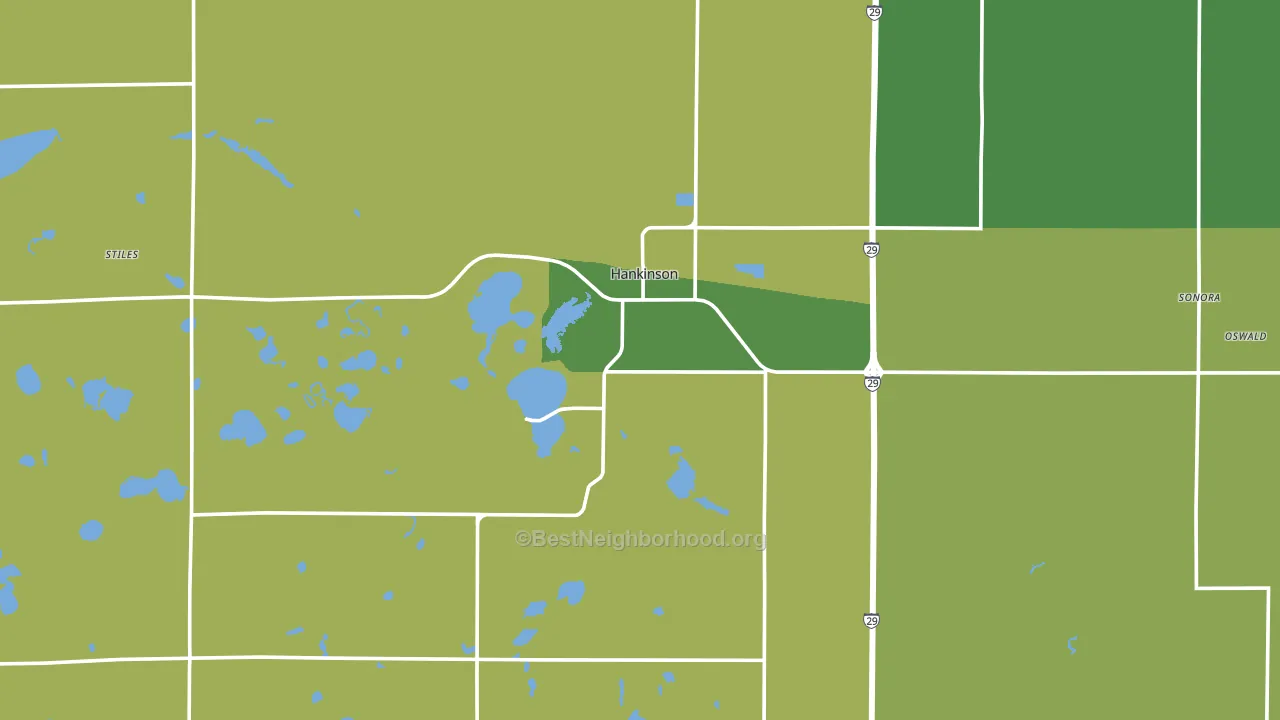 Hankinson, ND block-group voter-turnout map