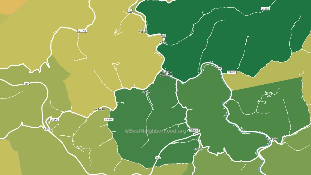 Harman Junction, VA block-group voter-turnout map