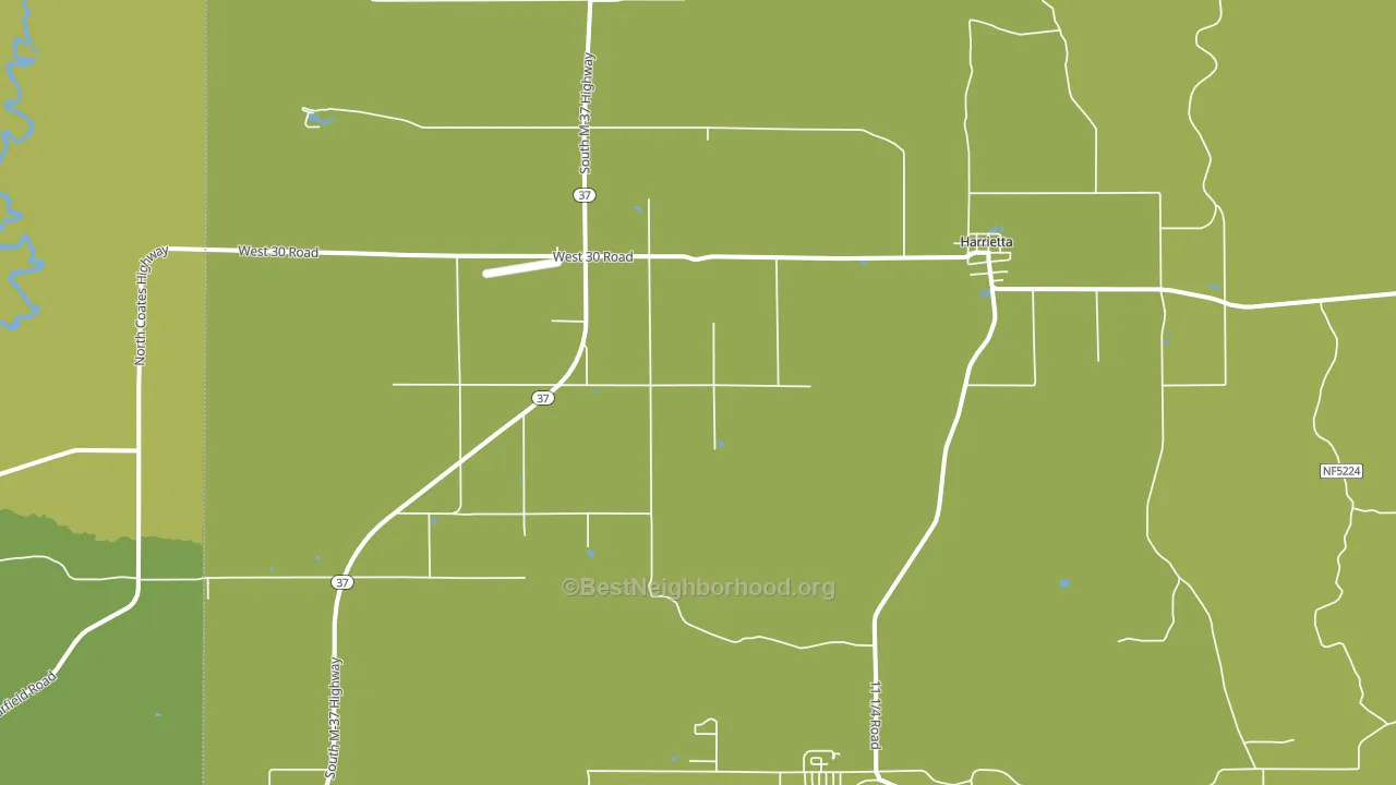 Harrietta, MI block-group voter-turnout map