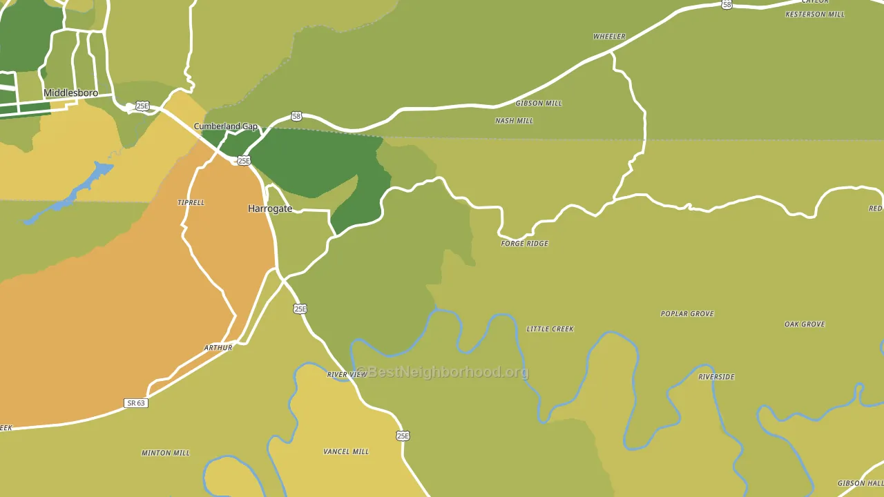 Harrogate, TN block-group voter-turnout map