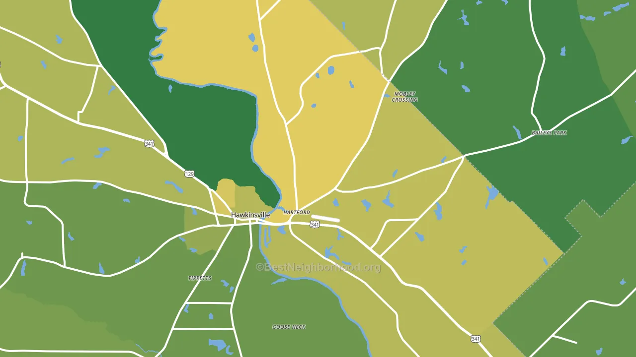 Hartford, GA block-group voter-turnout map