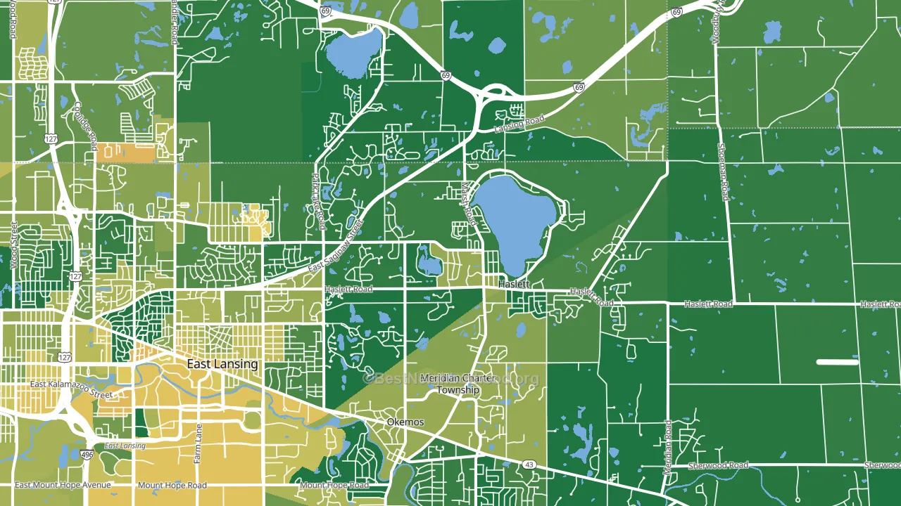 Haslett, MI block-group voter-turnout map