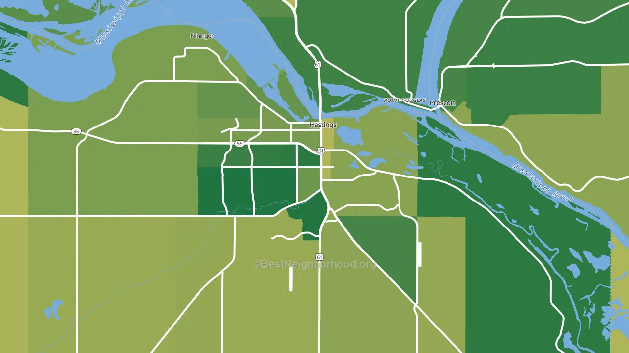 Hastings, MN block-group voter-turnout map
