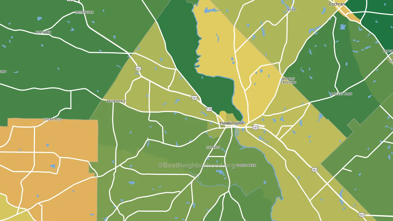 Hawkinsville, GA block-group voter-turnout map