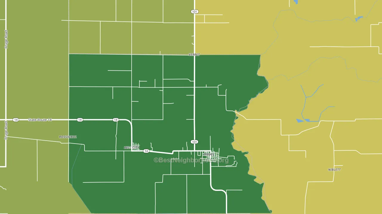 Hayes, LA block-group voter-turnout map