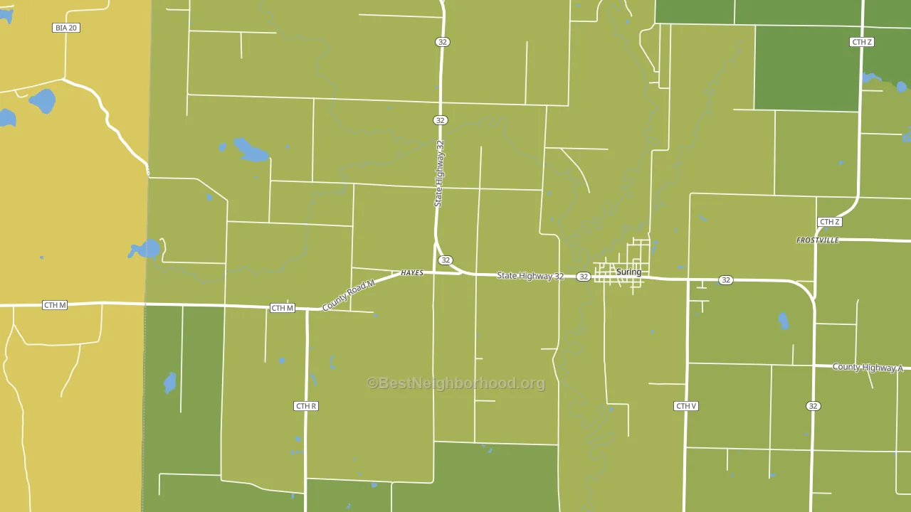 Hayes, WI block-group voter-turnout map