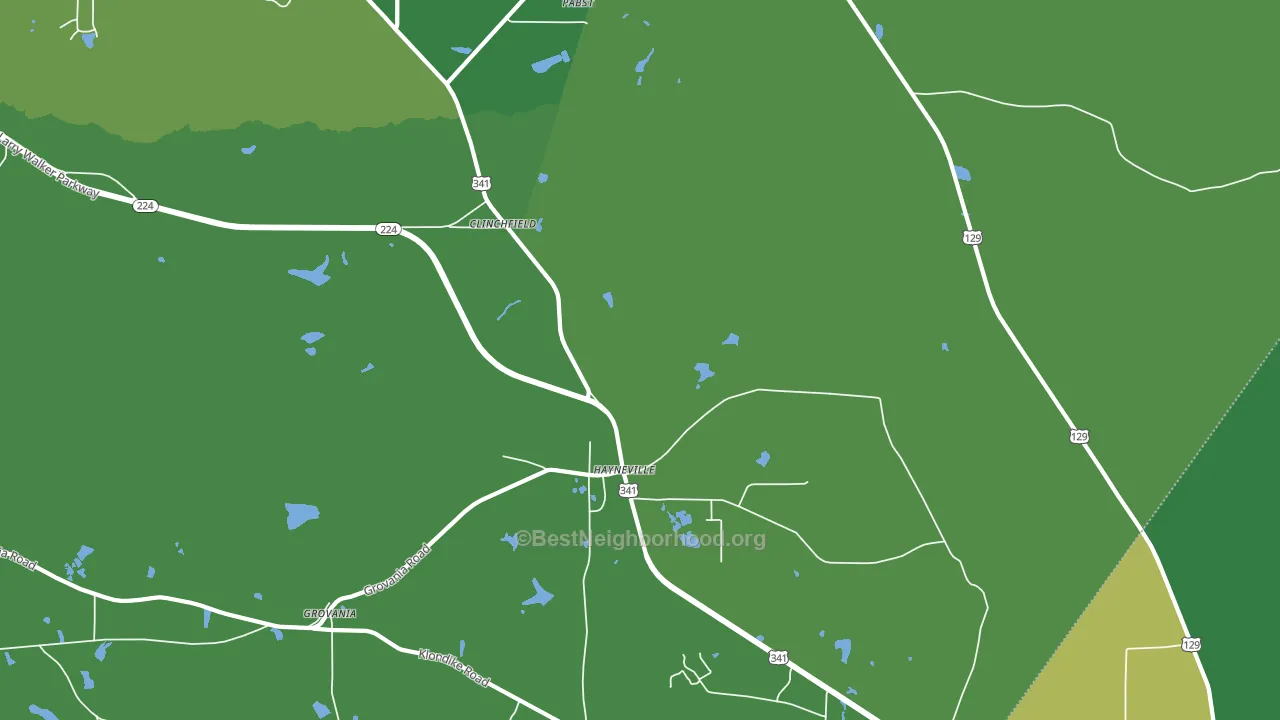 Hayneville, GA block-group voter-turnout map