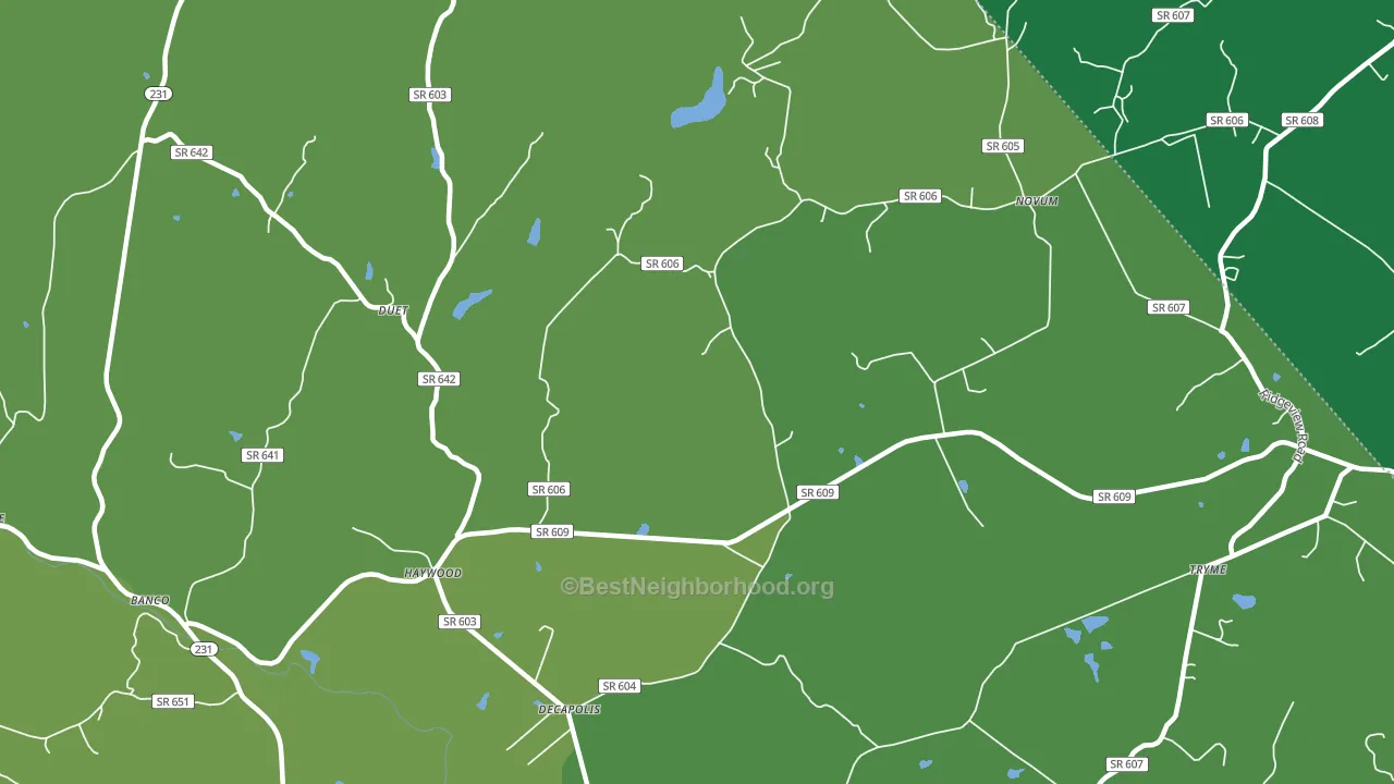 Haywood, VA block-group voter-turnout map