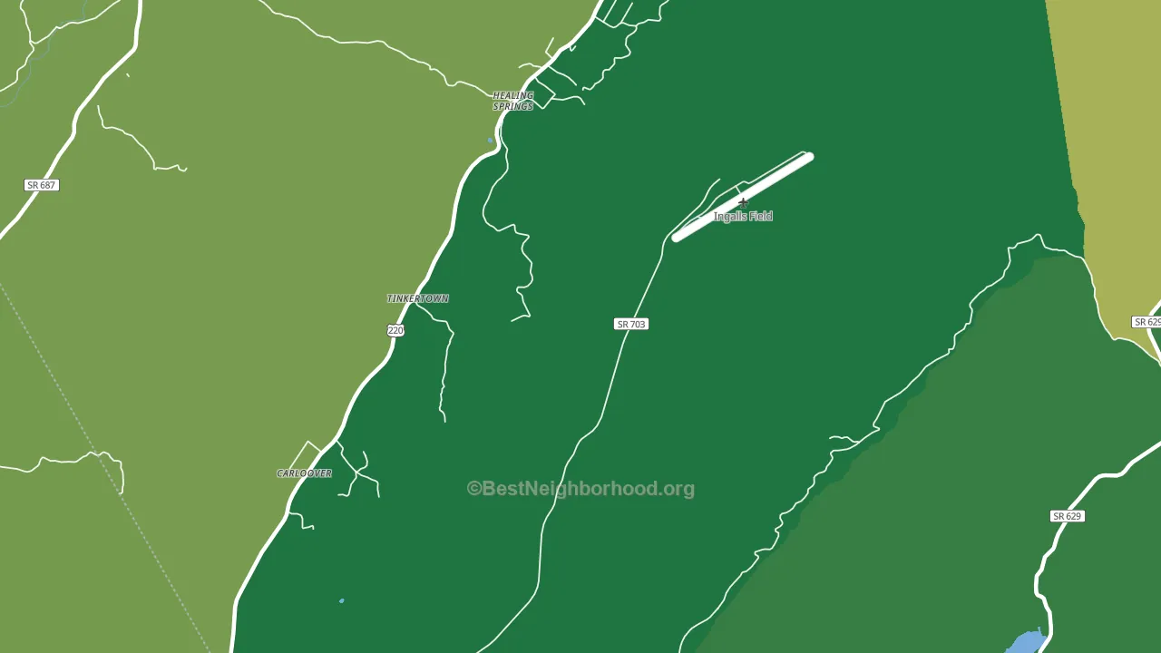 Healing Springs, VA block-group voter-turnout map