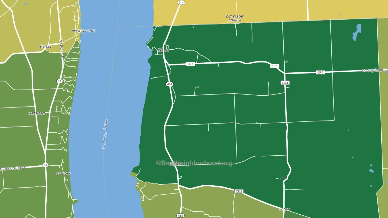 Hector, NY block-group voter-turnout map