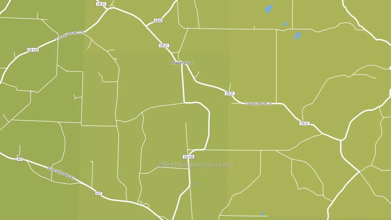 Hedgesville, NY block-group voter-turnout map