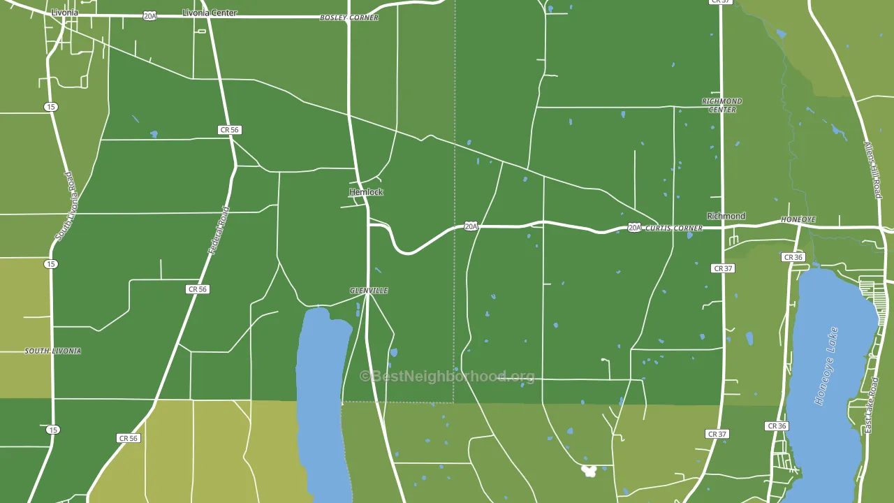 Hemlock, NY block-group voter-turnout map