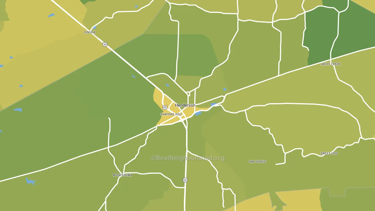 Henderson, TN block-group voter-turnout map