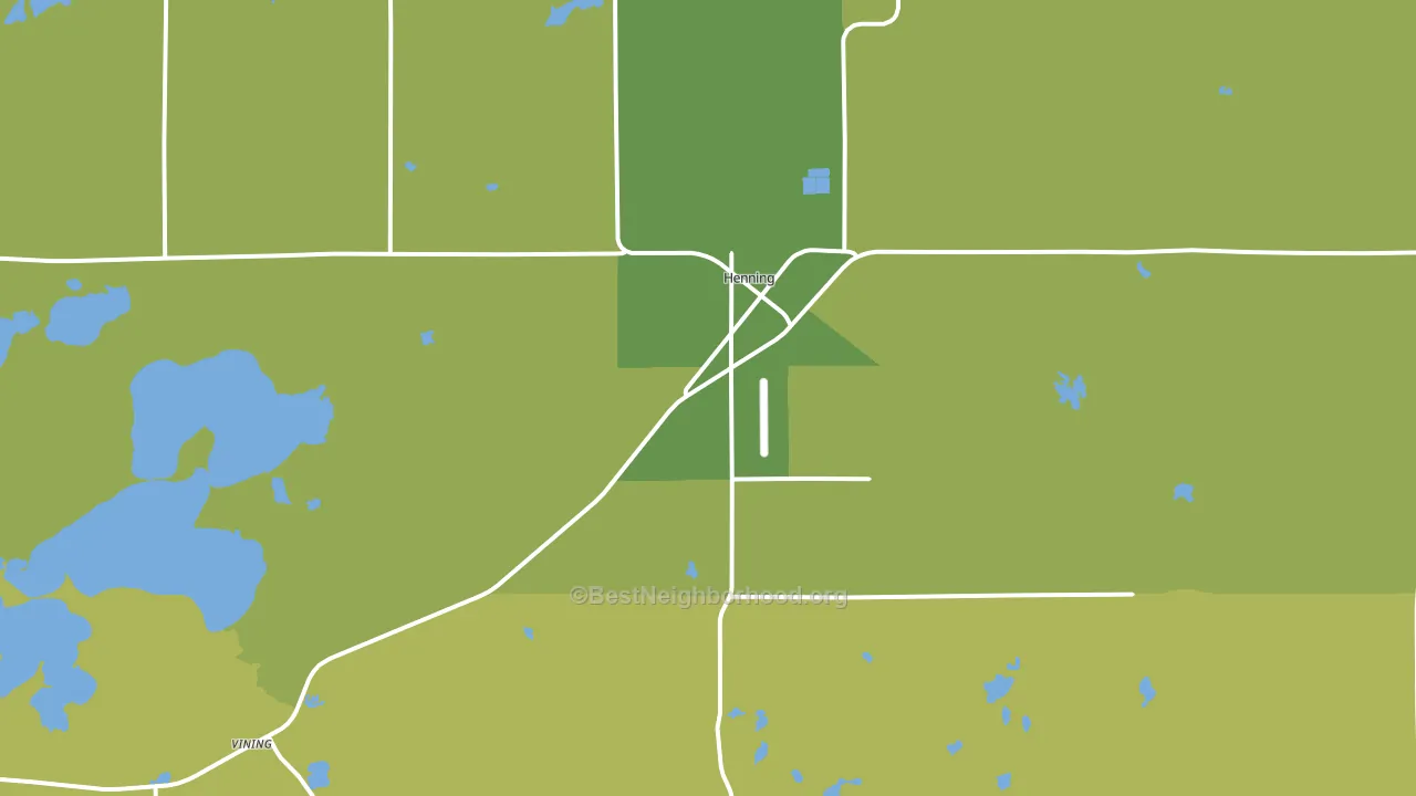 Henning, MN block-group voter-turnout map