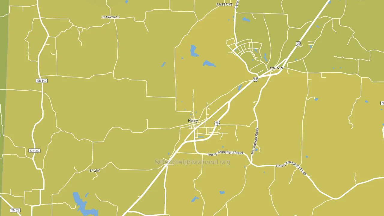 Henry, TN block-group voter-turnout map
