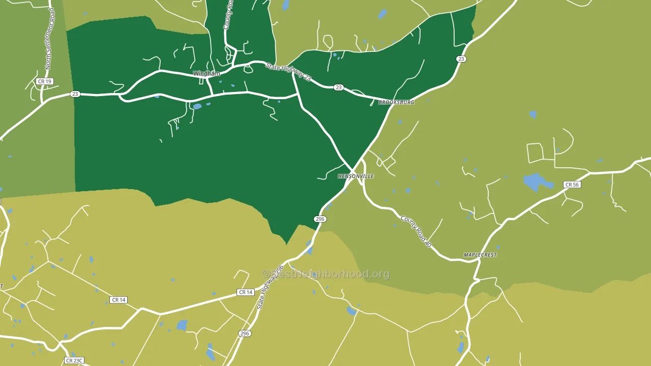 Hensonville, NY block-group voter-turnout map