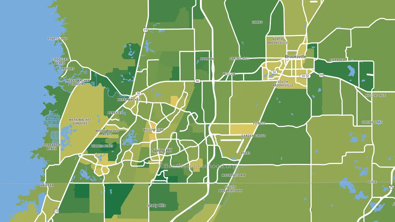 Hernando County, FL block-group voter-turnout map