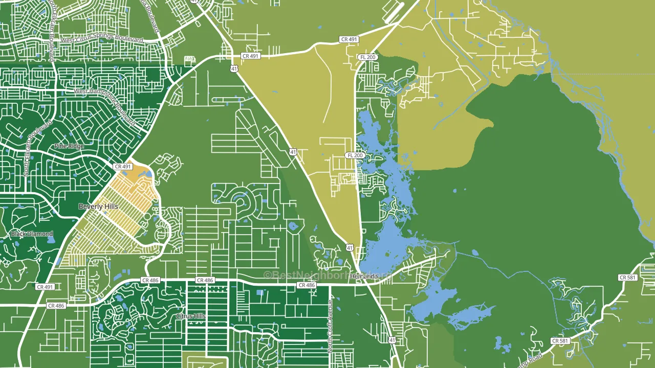 Hernando, FL block-group voter-turnout map