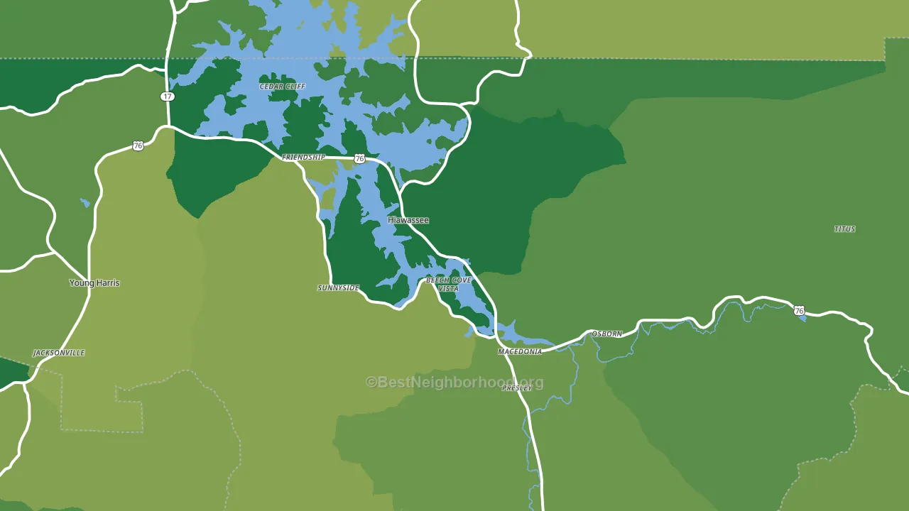 Hiawassee, GA block-group voter-turnout map