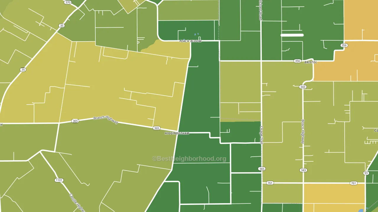 Higginbotham, LA block-group voter-turnout map