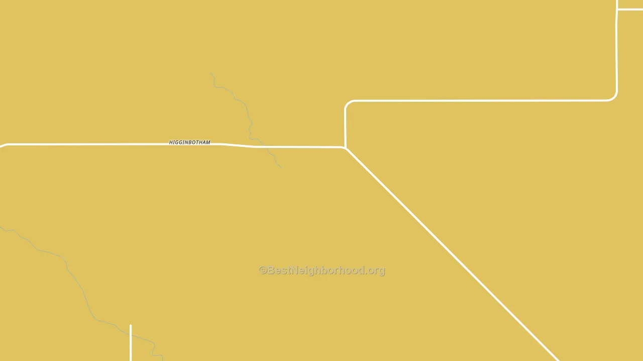 Higginbotham, TX block-group voter-turnout map