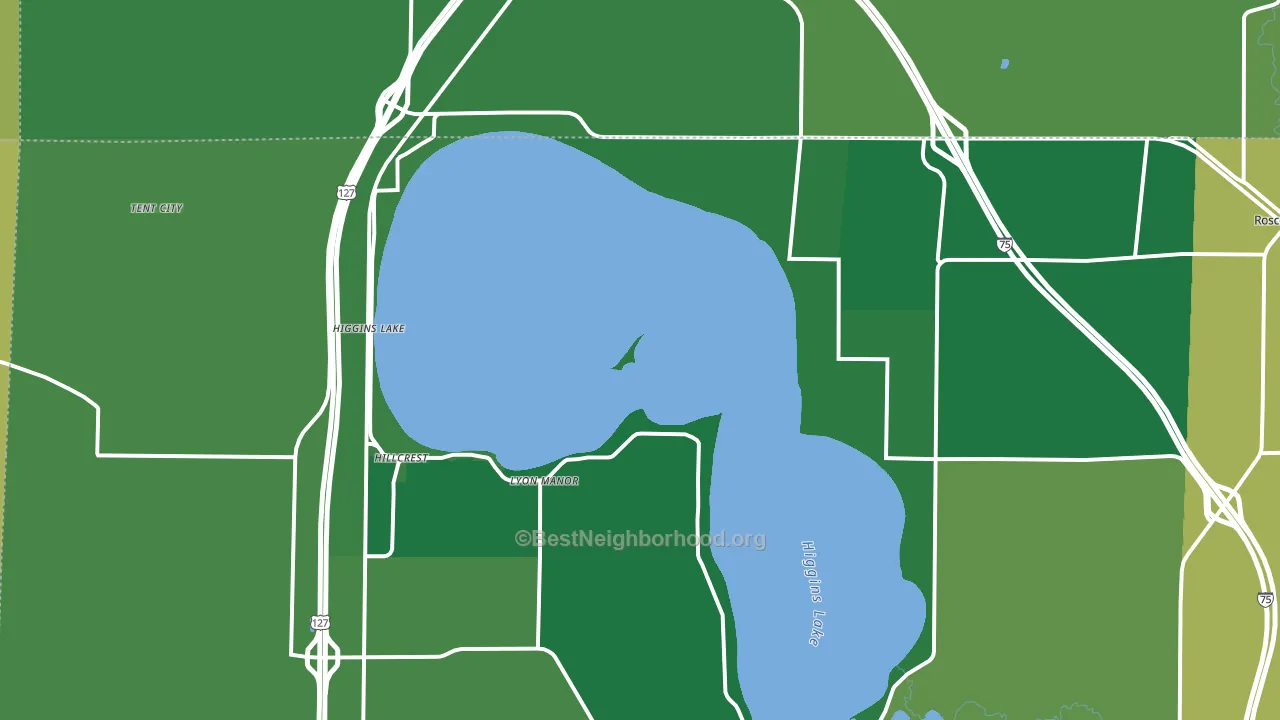 Higgins Lake, MI block-group voter-turnout map