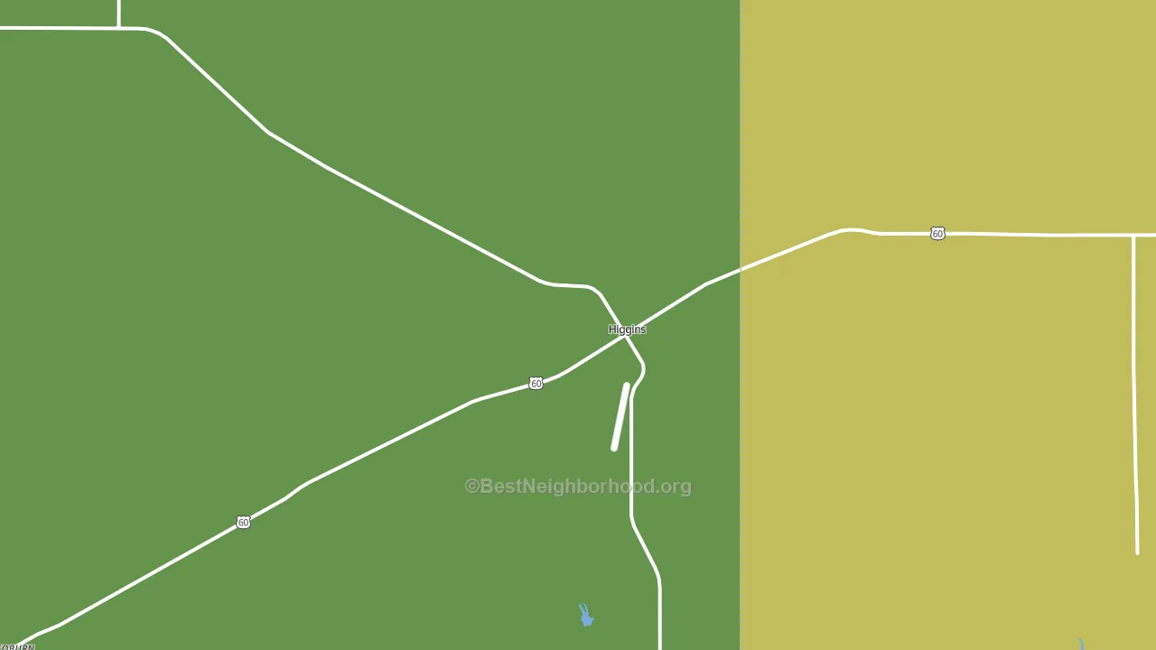Higgins, TX block-group voter-turnout map