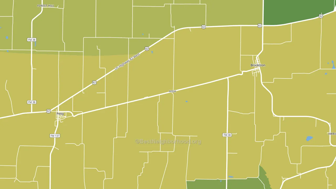 High, TX block-group voter-turnout map