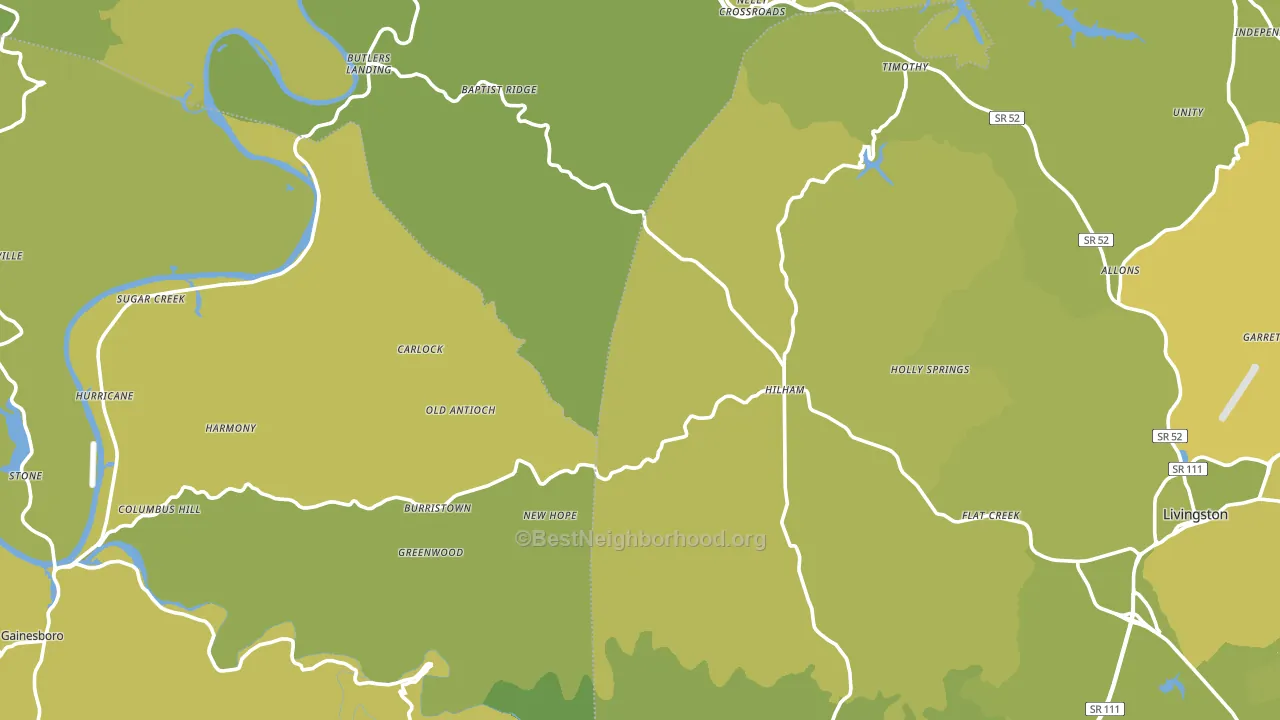 Hilham, TN block-group voter-turnout map
