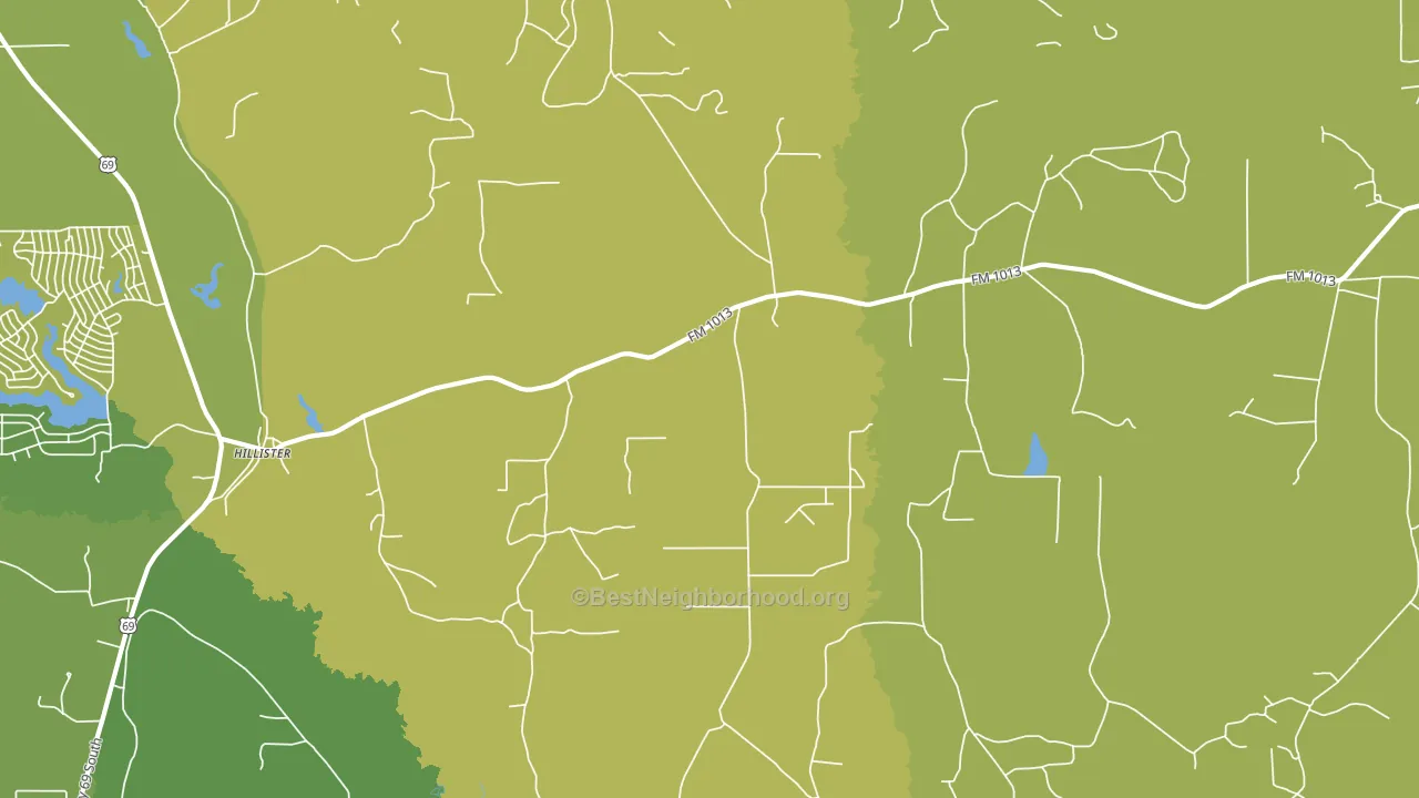 Hillister, TX block-group voter-turnout map