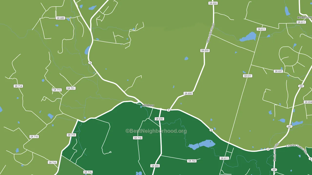 Hillsboro, VA block-group voter-turnout map