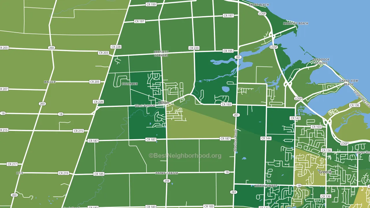 Hilton, NY block-group voter-turnout map