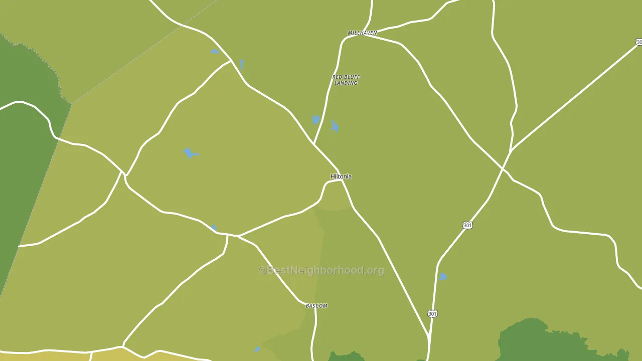 Hiltonia, GA block-group voter-turnout map