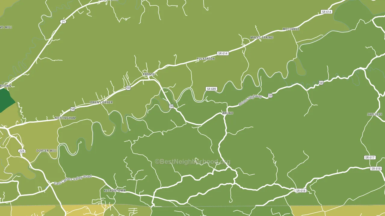 Hiltons, VA block-group voter-turnout map