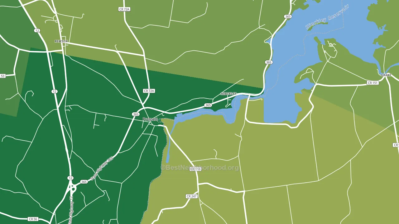 Hinckley, NY block-group voter-turnout map