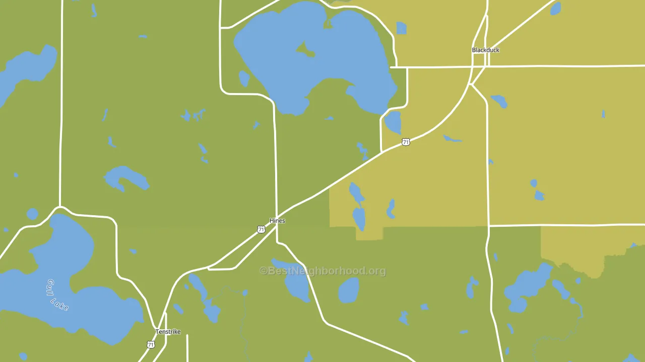 Hines, MN block-group voter-turnout map
