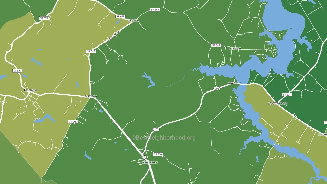 Hinnom, VA block-group voter-turnout map