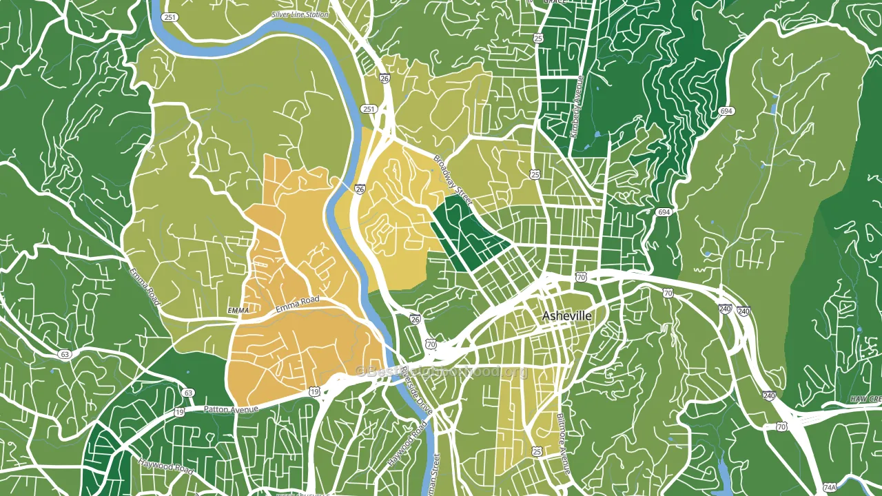 Historic Montford, Asheville, NC block-group voter-turnout map