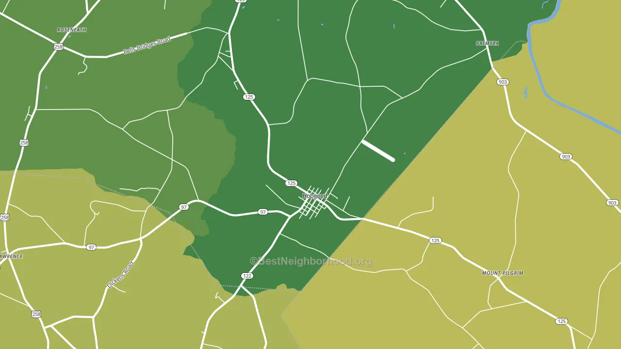 Hobgood, NC block-group voter-turnout map