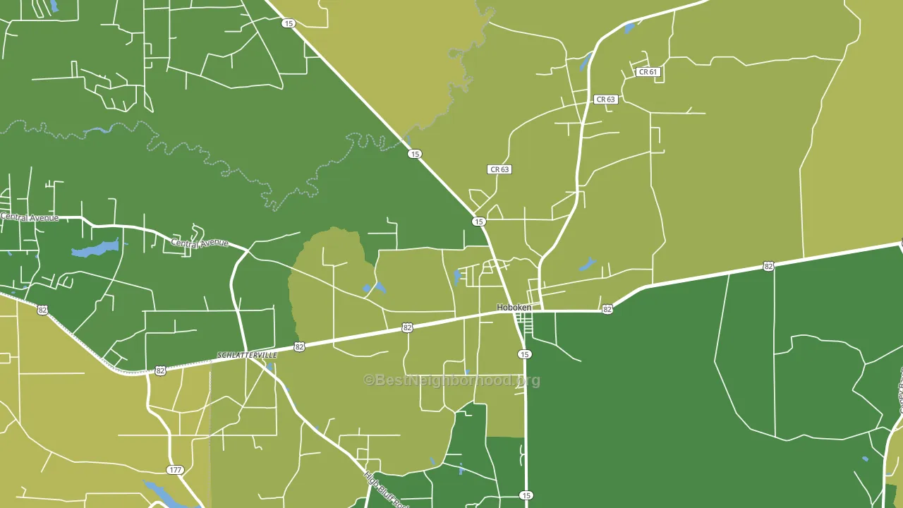 Hoboken, GA block-group voter-turnout map