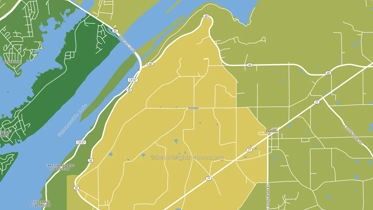 Hodge, AL block-group voter-turnout map