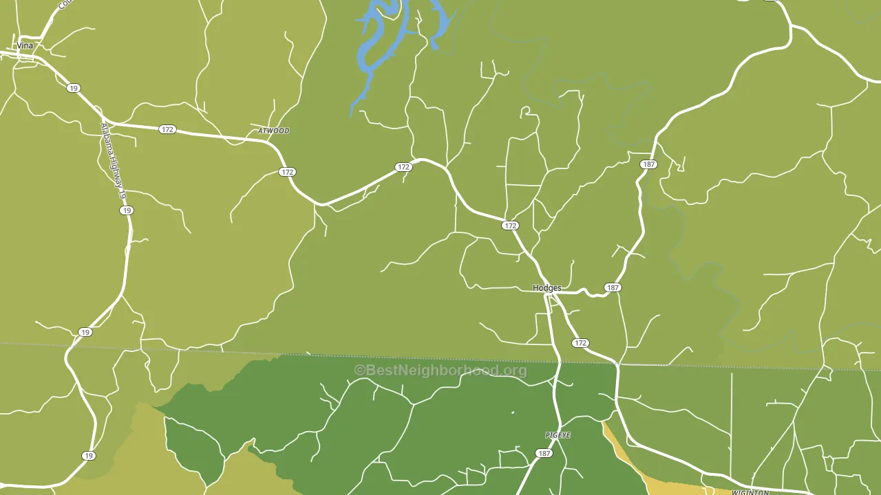 Hodges, AL block-group voter-turnout map