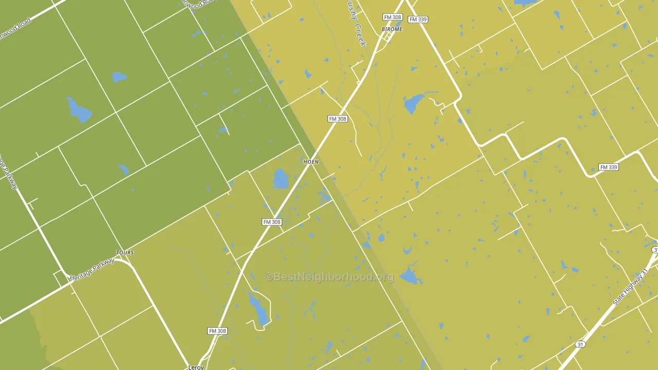 Hoen, TX block-group voter-turnout map