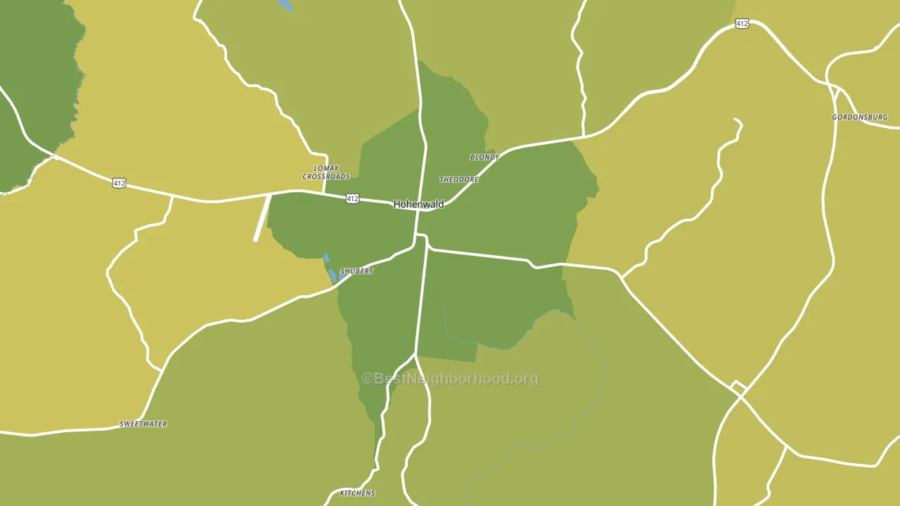 Hohenwald, TN block-group voter-turnout map