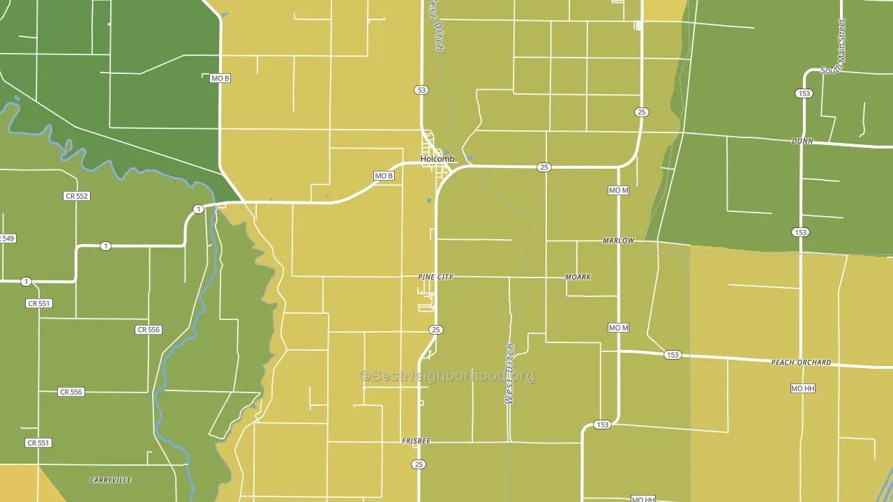 Holcomb, MO block-group voter-turnout map
