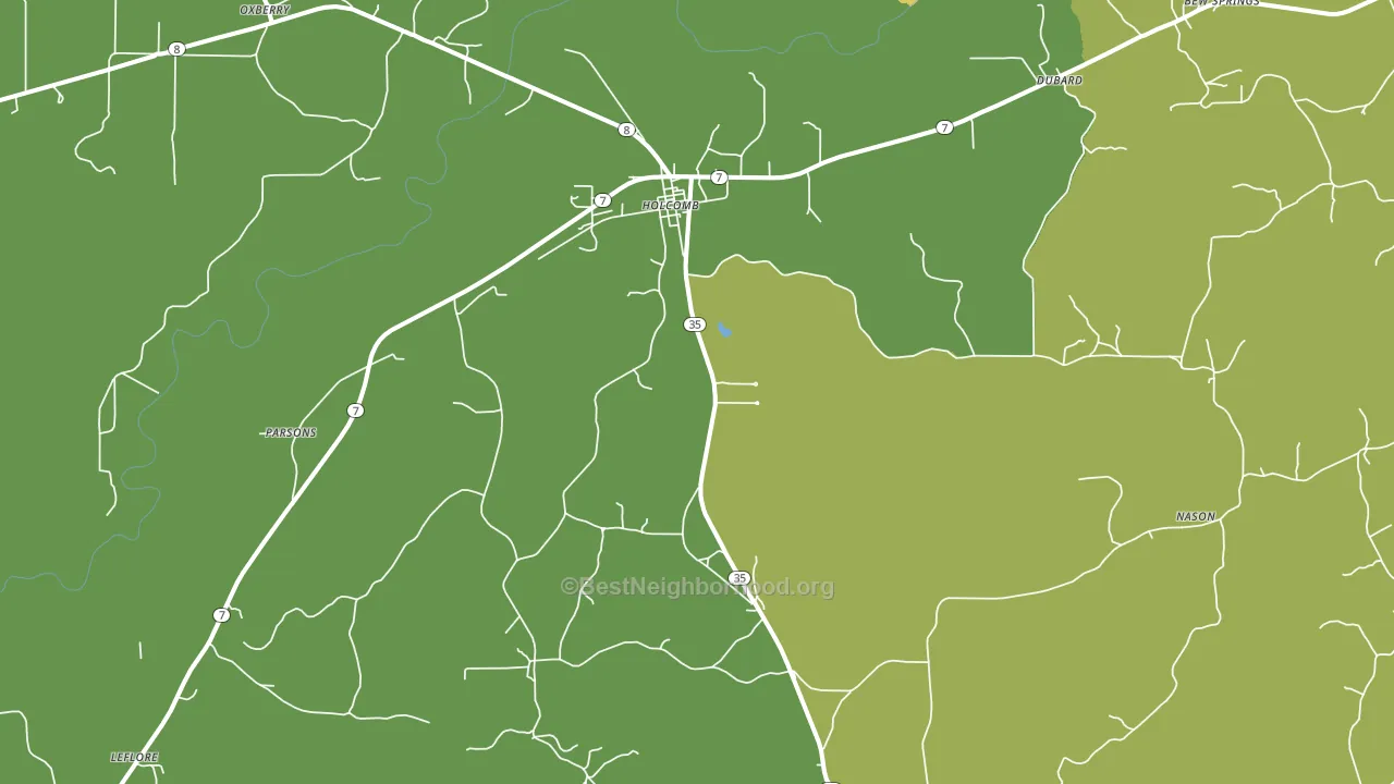 Holcomb, MS block-group voter-turnout map