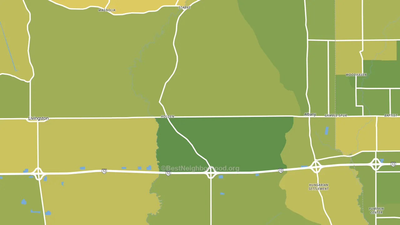 Holden, LA block-group voter-turnout map